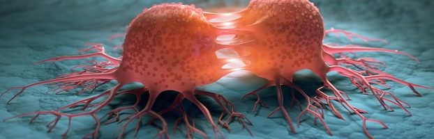 Cancer Cells 622x200 - Cancer Treatments Can Affect Oral Health