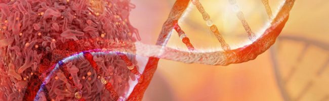 Cancer DNA 650x200 - An Overview of Cancer Treatment