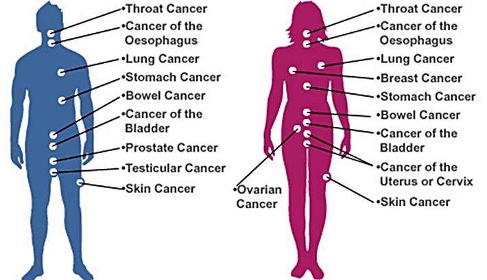 What Are The Different Types Of Cancer And Describe Each